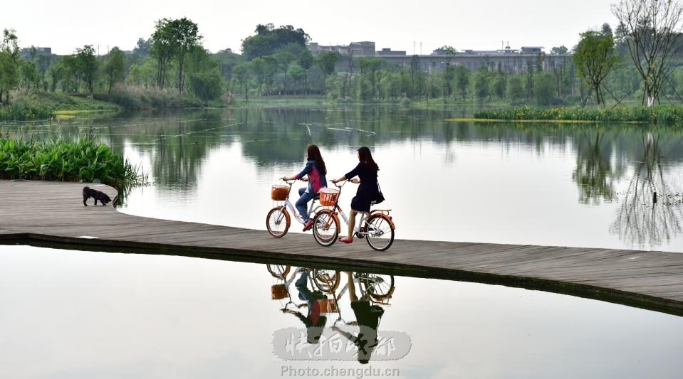 白鹭湿地 by 拍客艾草 快拍作品_成都图片网(p