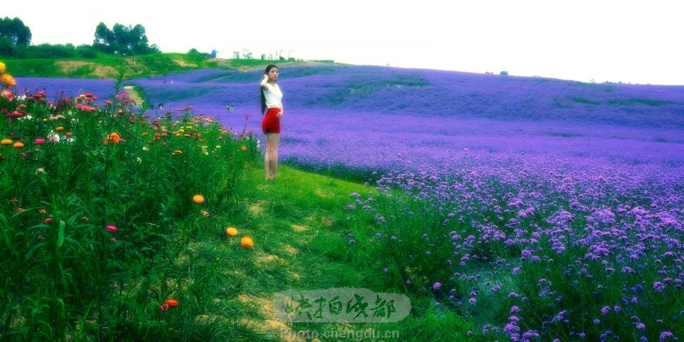 说好不分手 by 拍客漆树 快拍作品_成都图片网