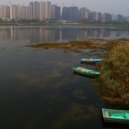 锦城湖湿地公...