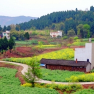 山间村道